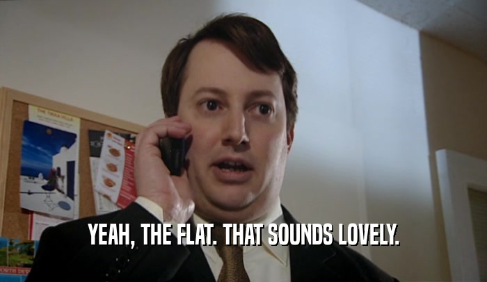 YEAH, THE FLAT. THAT SOUNDS LOVELY.  