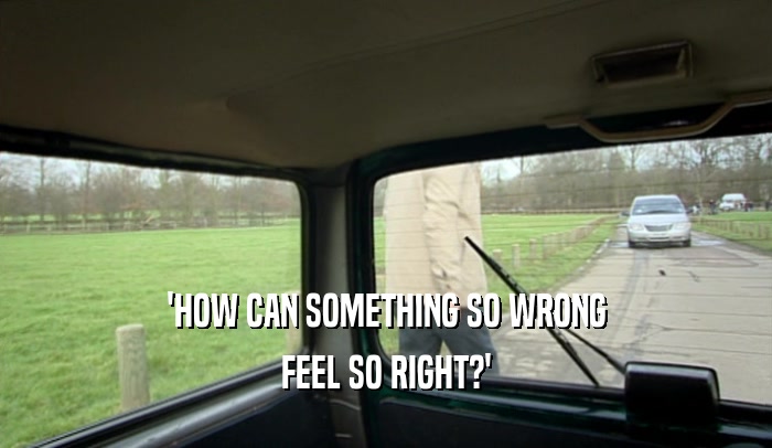 'HOW CAN SOMETHING SO WRONG FEEL SO RIGHT?' 