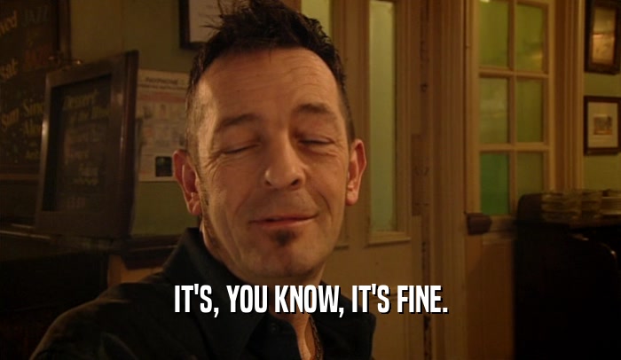 IT'S, YOU KNOW, IT'S FINE.  