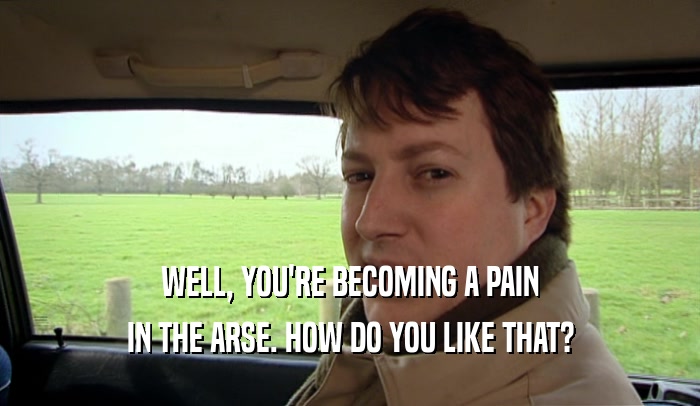 WELL, YOU'RE BECOMING A PAIN IN THE ARSE. HOW DO YOU LIKE THAT? 
