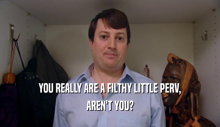 YOU REALLY ARE A FILTHY LITTLE PERV, AREN'T YOU? 