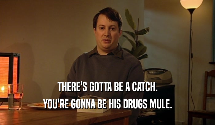 THERE'S GOTTA BE A CATCH. YOU'RE GONNA BE HIS DRUGS MULE. 