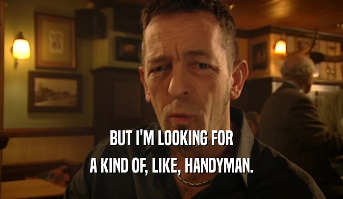BUT I'M LOOKING FOR
 A KIND OF, LIKE, HANDYMAN.
 