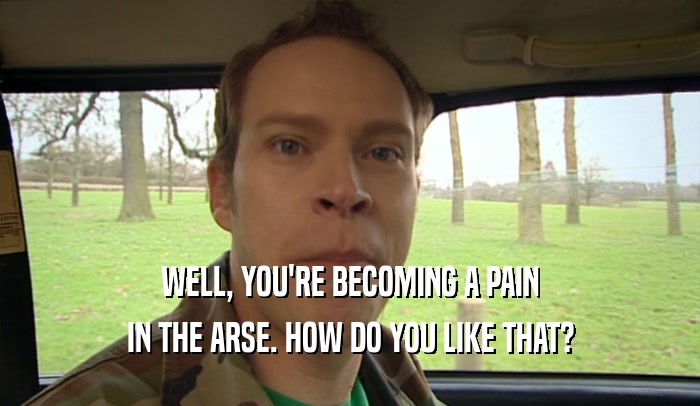 WELL, YOU'RE BECOMING A PAIN IN THE ARSE. HOW DO YOU LIKE THAT? 