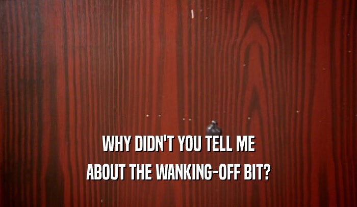WHY DIDN'T YOU TELL ME ABOUT THE WANKING-OFF BIT? 