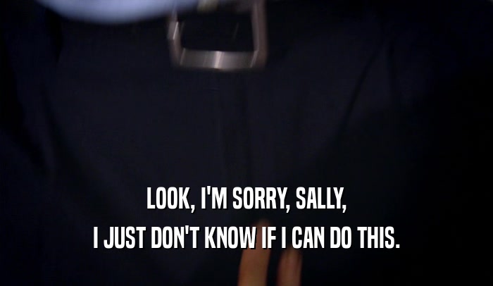 LOOK, I'M SORRY, SALLY, I JUST DON'T KNOW IF I CAN DO THIS. 