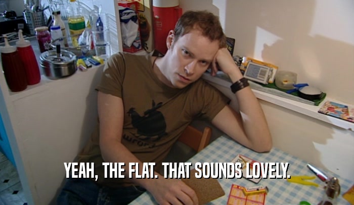 YEAH, THE FLAT. THAT SOUNDS LOVELY.  