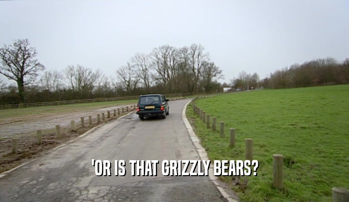 'OR IS THAT GRIZZLY BEARS?  