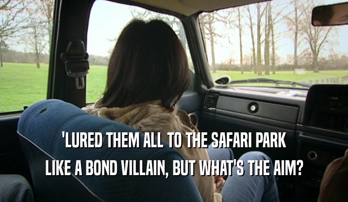 'LURED THEM ALL TO THE SAFARI PARK LIKE A BOND VILLAIN, BUT WHAT'S THE AIM? 