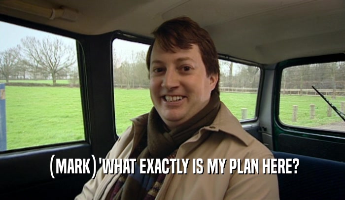 (MARK)'WHAT EXACTLY IS MY PLAN HERE?  