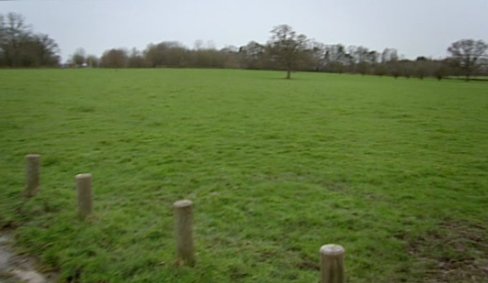 'WHERE ARE THEY? IS THERE ONE BEHIND THAT TREE? 