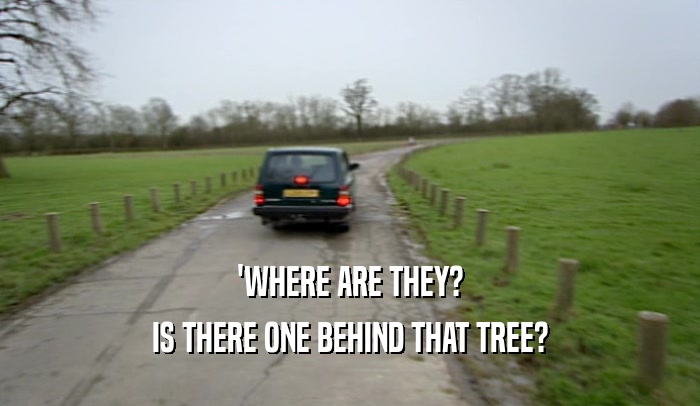 'WHERE ARE THEY?
 IS THERE ONE BEHIND THAT TREE?
 