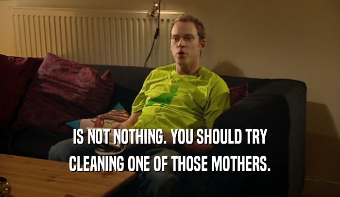 IS NOT NOTHING. YOU SHOULD TRY CLEANING ONE OF THOSE MOTHERS. 