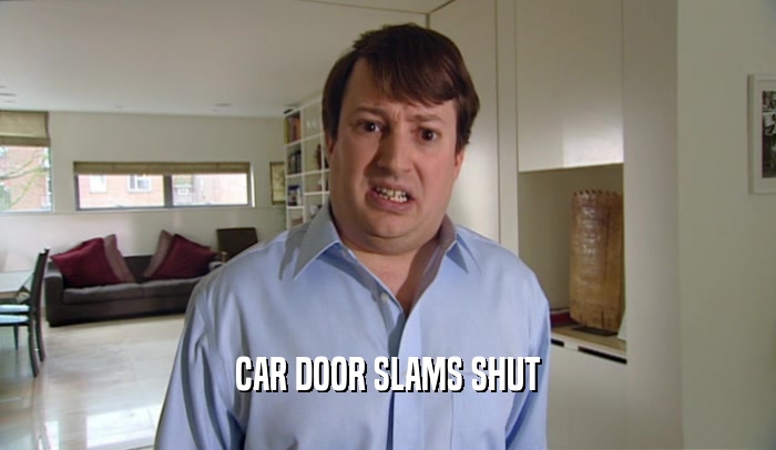 CAR DOOR SLAMS SHUT
  