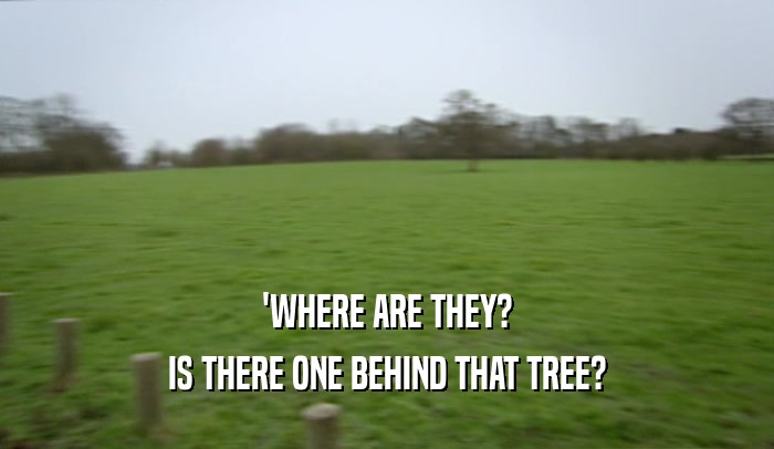 'WHERE ARE THEY?
 IS THERE ONE BEHIND THAT TREE?
 