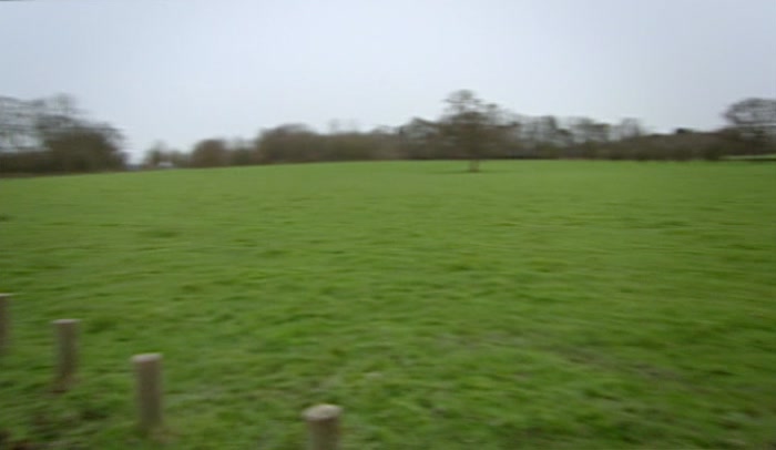 'WHERE ARE THEY? IS THERE ONE BEHIND THAT TREE? 