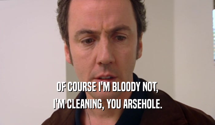 OF COURSE I'M BLOODY NOT,
 I'M CLEANING, YOU ARSEHOLE.
 
