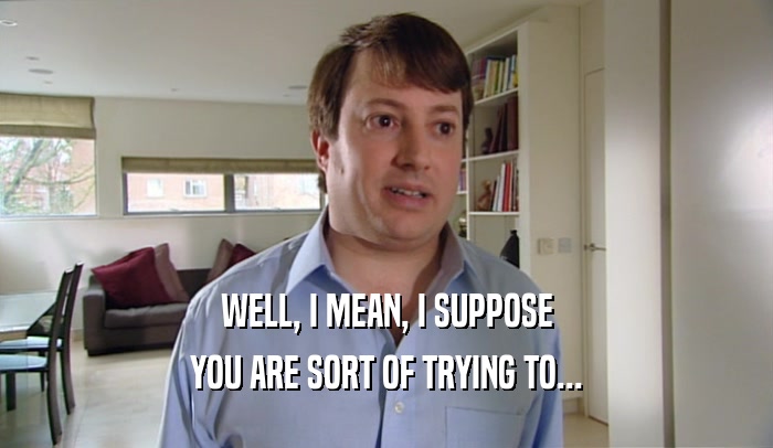 WELL, I MEAN, I SUPPOSE YOU ARE SORT OF TRYING TO... 