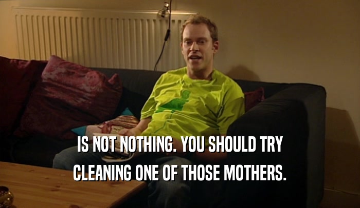 IS NOT NOTHING. YOU SHOULD TRY CLEANING ONE OF THOSE MOTHERS. 