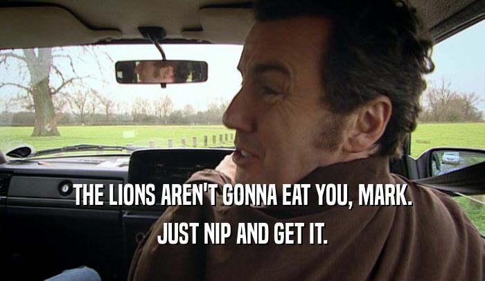 THE LIONS AREN'T GONNA EAT YOU, MARK. JUST NIP AND GET IT. 