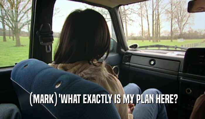 (MARK)'WHAT EXACTLY IS MY PLAN HERE?  