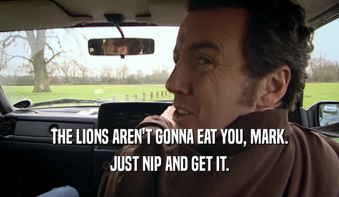 THE LIONS AREN'T GONNA EAT YOU, MARK. JUST NIP AND GET IT. 