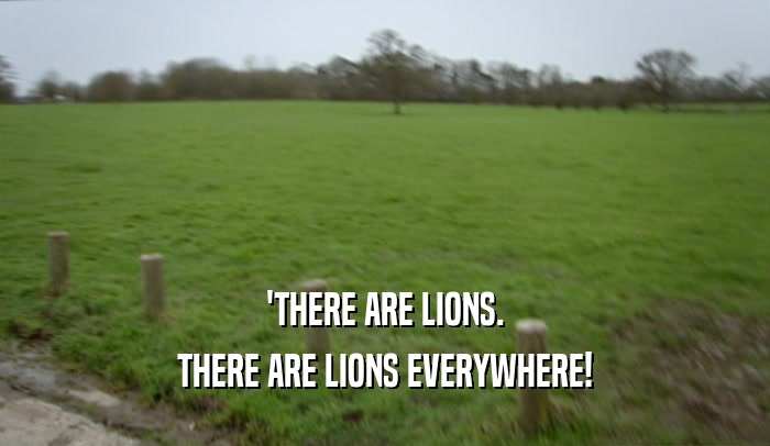 'THERE ARE LIONS. THERE ARE LIONS EVERYWHERE! 