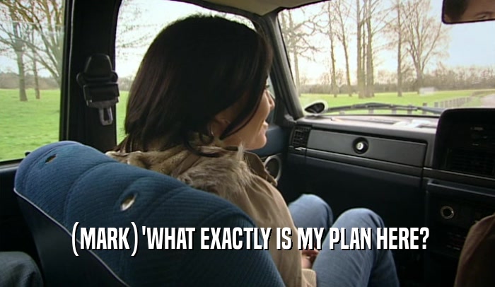 (MARK)'WHAT EXACTLY IS MY PLAN HERE?  