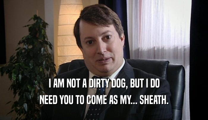 I AM NOT A DIRTY DOG, BUT I DO NEED YOU TO COME AS MY... SHEATH. 