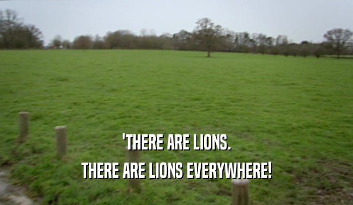 'THERE ARE LIONS.
 THERE ARE LIONS EVERYWHERE!
 