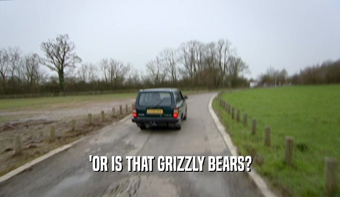 'OR IS THAT GRIZZLY BEARS?  