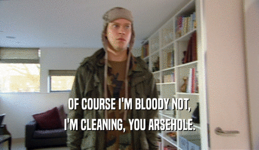 OF COURSE I'M BLOODY NOT, I'M CLEANING, YOU ARSEHOLE. 