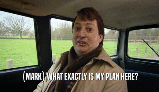 (MARK)'WHAT EXACTLY IS MY PLAN HERE?  