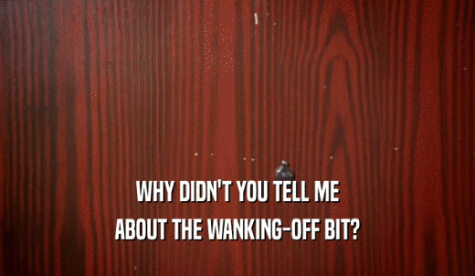WHY DIDN'T YOU TELL ME ABOUT THE WANKING-OFF BIT? 