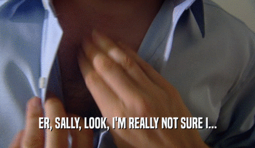 ER, SALLY, LOOK, I'M REALLY NOT SURE I...  