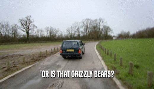 'OR IS THAT GRIZZLY BEARS?  