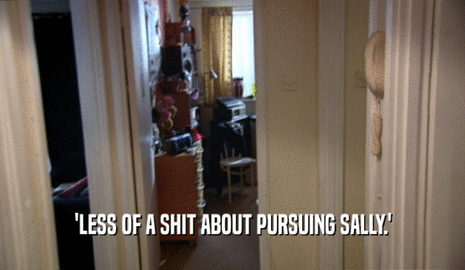'LESS OF A SHIT ABOUT PURSUING SALLY.'  