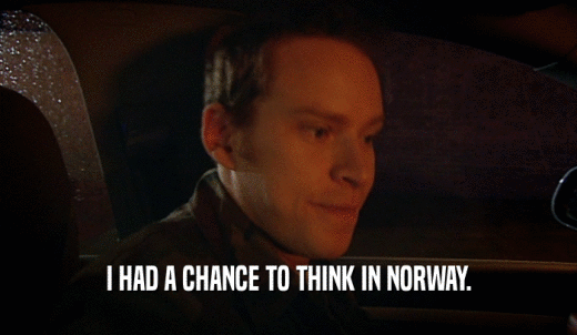 I HAD A CHANCE TO THINK IN NORWAY.  
