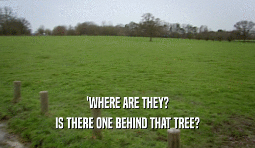 'WHERE ARE THEY? IS THERE ONE BEHIND THAT TREE? 
