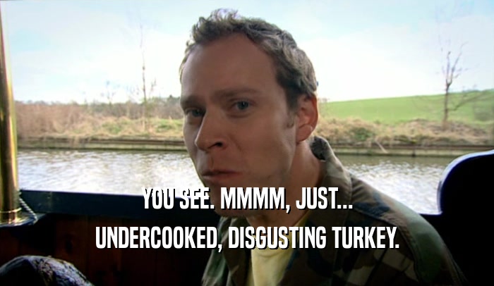 YOU SEE. MMMM, JUST...
 UNDERCOOKED, DISGUSTING TURKEY.
 