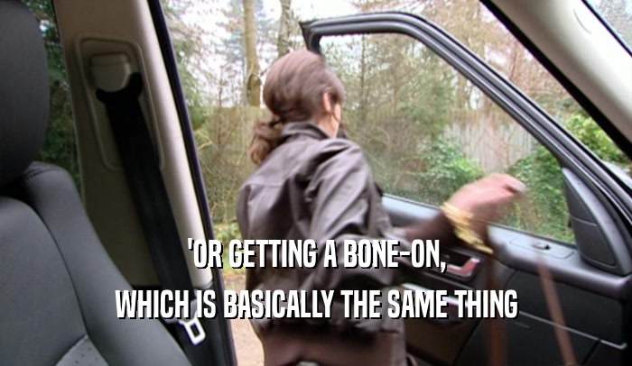 'OR GETTING A BONE-ON,
 WHICH IS BASICALLY THE SAME THING
 
