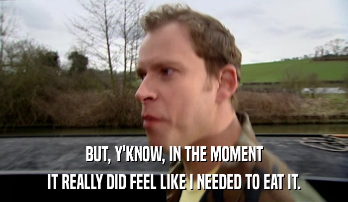 BUT, Y'KNOW, IN THE MOMENT IT REALLY DID FEEL LIKE I NEEDED TO EAT IT. 