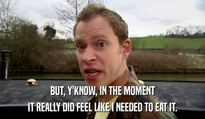 BUT, Y'KNOW, IN THE MOMENT IT REALLY DID FEEL LIKE I NEEDED TO EAT IT. 