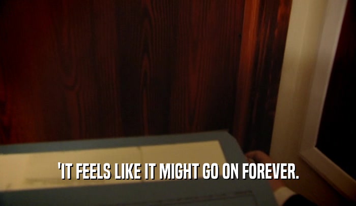 'IT FEELS LIKE IT MIGHT GO ON FOREVER.  