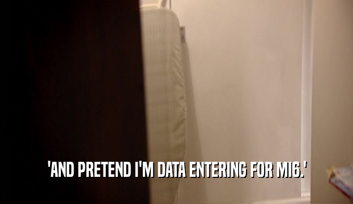 'AND PRETEND I'M DATA ENTERING FOR MI6.'  