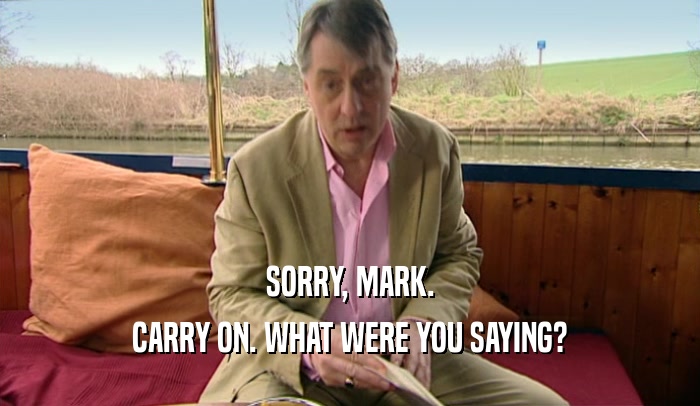 SORRY, MARK. CARRY ON. WHAT WERE YOU SAYING? 
