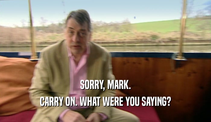 SORRY, MARK. CARRY ON. WHAT WERE YOU SAYING? 