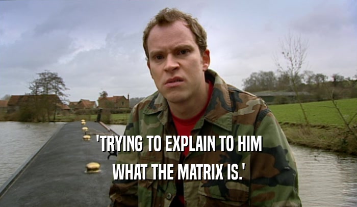 'TRYING TO EXPLAIN TO HIM WHAT THE MATRIX IS.' 