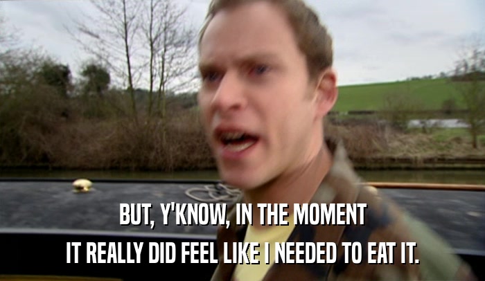 BUT, Y'KNOW, IN THE MOMENT IT REALLY DID FEEL LIKE I NEEDED TO EAT IT. 
