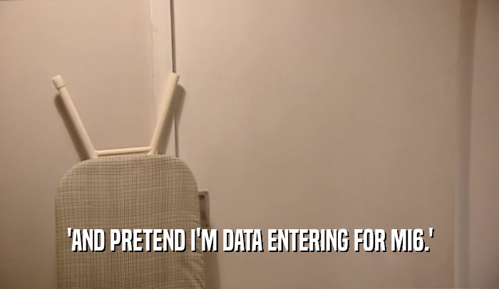'AND PRETEND I'M DATA ENTERING FOR MI6.'  